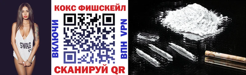 Кокаин FishScale  Купить  Вытегра 