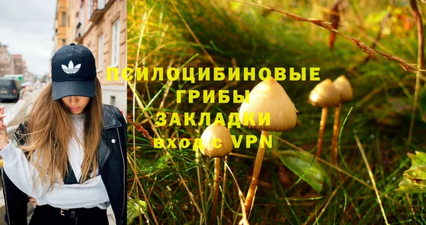 2c-b Беломорск