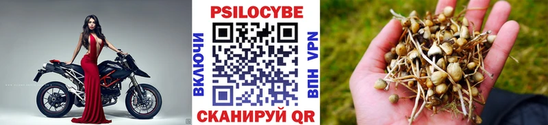 Купить закладки  Вытегра  Галлюциногенные грибы прущие грибы 