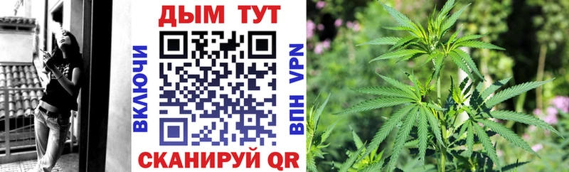 МАРИХУАНА Amnesia Вытегра